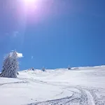 Lejlighed Peer Neustift im Stubaital