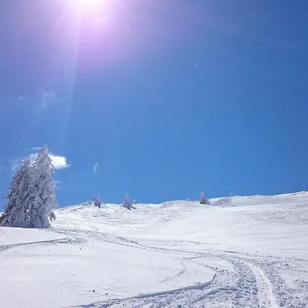 Lägenhet Peer Neustift im Stubaital