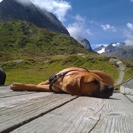 Peer Lägenhet *