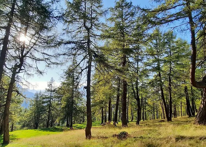 Peer Apartment Neustift im Stubaital