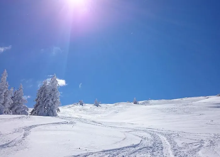 Apartment Peer Neustift im Stubaital