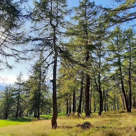 Peer Апартаменты Нойштифт-им-Штубайталь