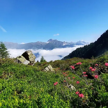 Апартаменты Peer